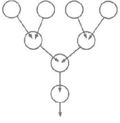 Рис. 8. Образование в виде дерева. Верхний ряд медуз напоминает крону дерева
