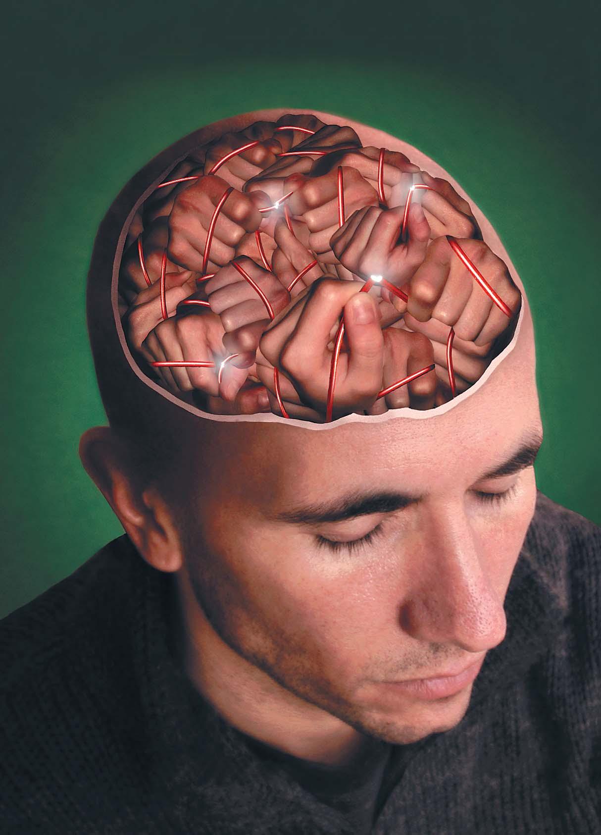 Brain фото. Мозг в голове.